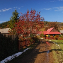 dsc_1454